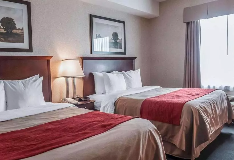 اتاق استاندارد, Comfort Inn