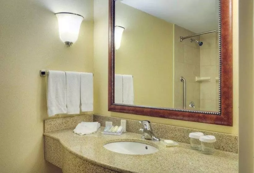 スイート, Hilton Garden Inn Toronto/burlington