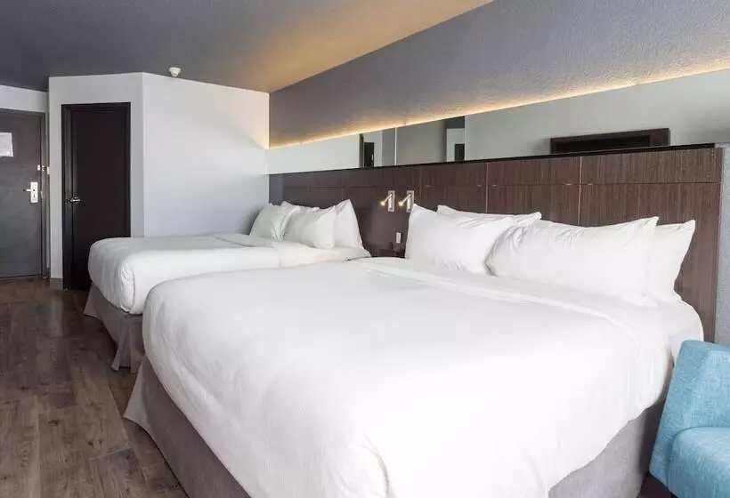 اتاق استاندارد با 2 تخت دوبل, Quartier, Ascend Hotel Collection