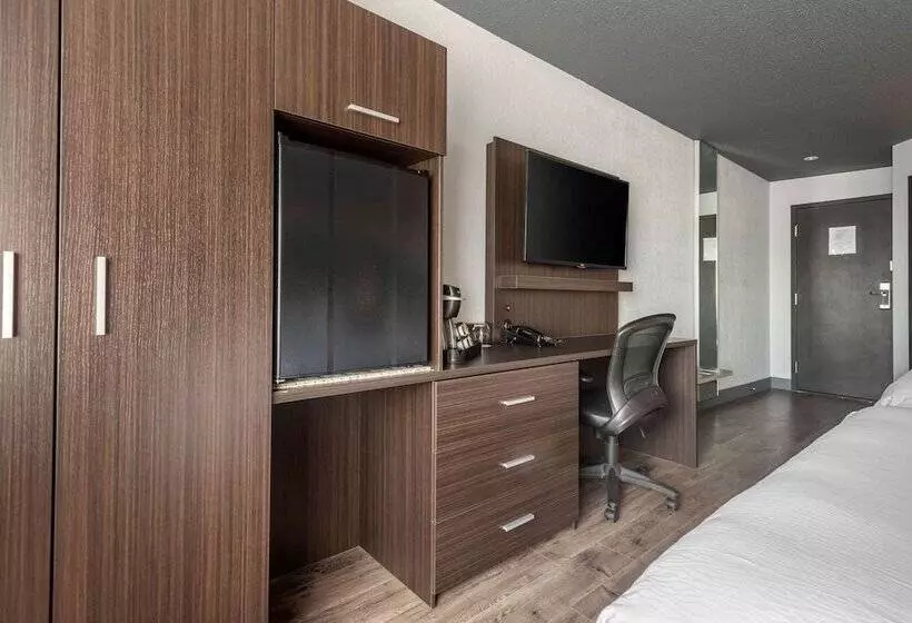 اتاق استاندارد با 2 تخت دوبل, Quartier, Ascend Hotel Collection