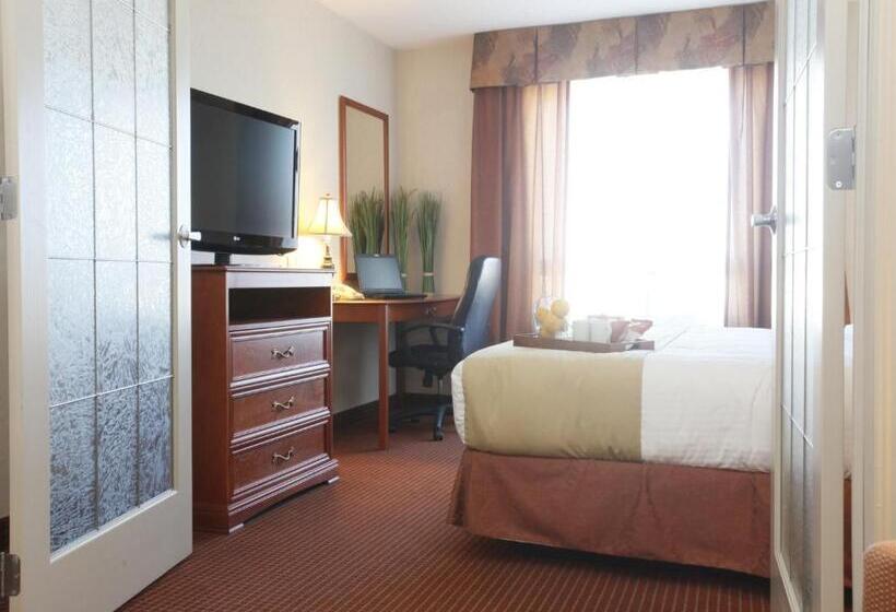 جناح سرير كينج, Stonebridge Hotel Dawson Creek
