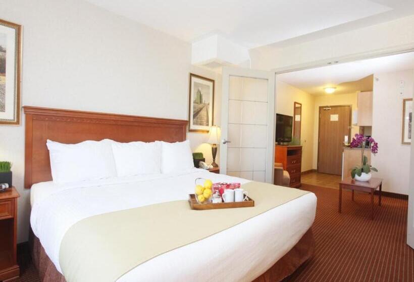 جناح سرير كينج, Stonebridge Hotel Dawson Creek