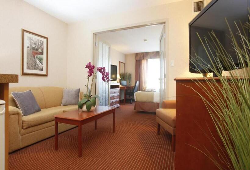 جناح سرير كينج, Stonebridge Hotel Dawson Creek