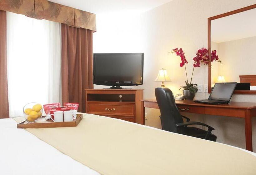 غرفة قياسية سرير كينج, Stonebridge Hotel Dawson Creek