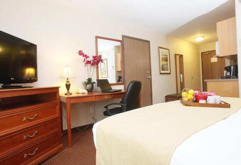 غرفة قياسية سرير كينج, Stonebridge Hotel Dawson Creek