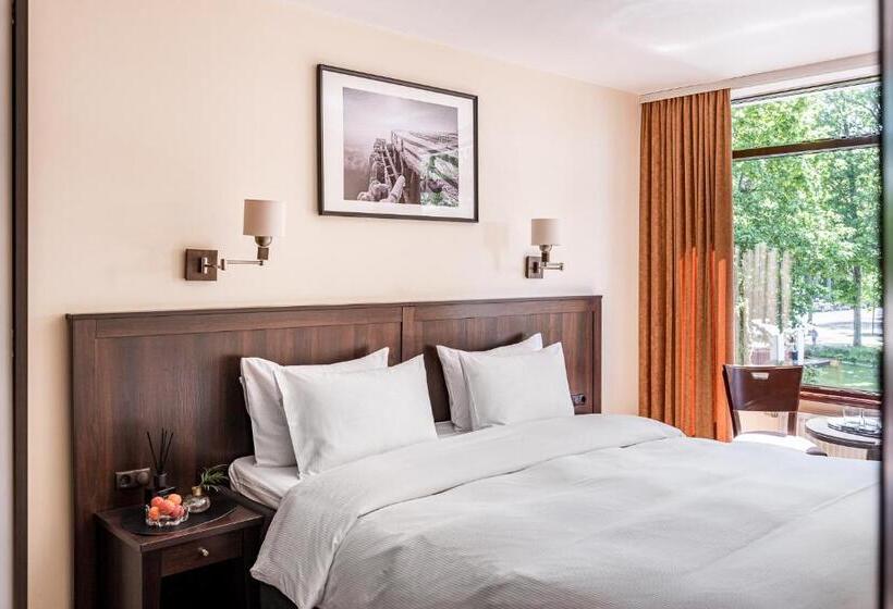 اتاق استاندارد با دسترسی به اسپا, Kerpė Hotel & Spa