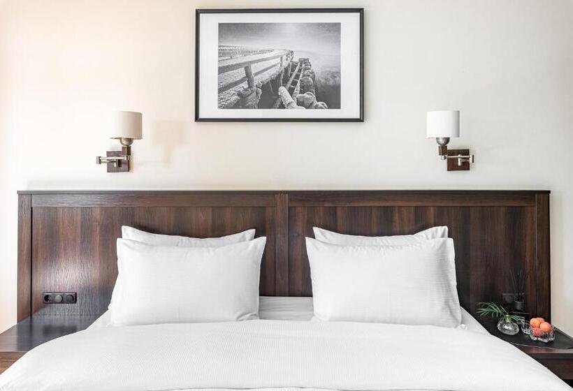 اتاق استاندارد با دسترسی به اسپا, Kerpė Hotel & Spa