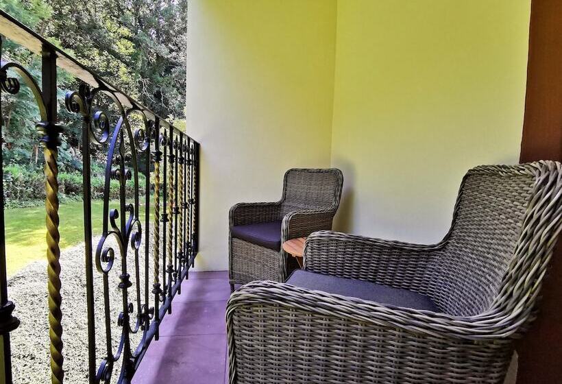 חדר סטנדרט, Erbprinzenpalais