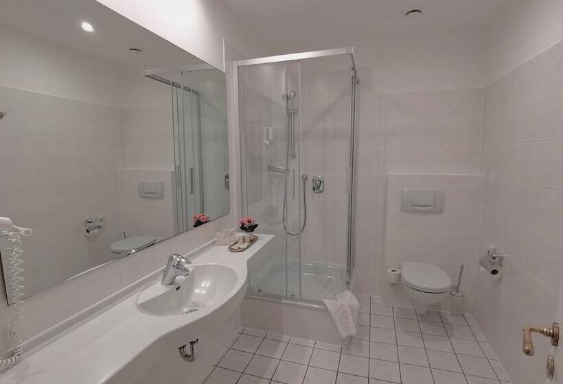 חדר דלוקס יחיד, Erbprinzenpalais