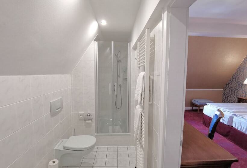 Номер Deluxe, Erbprinzenpalais