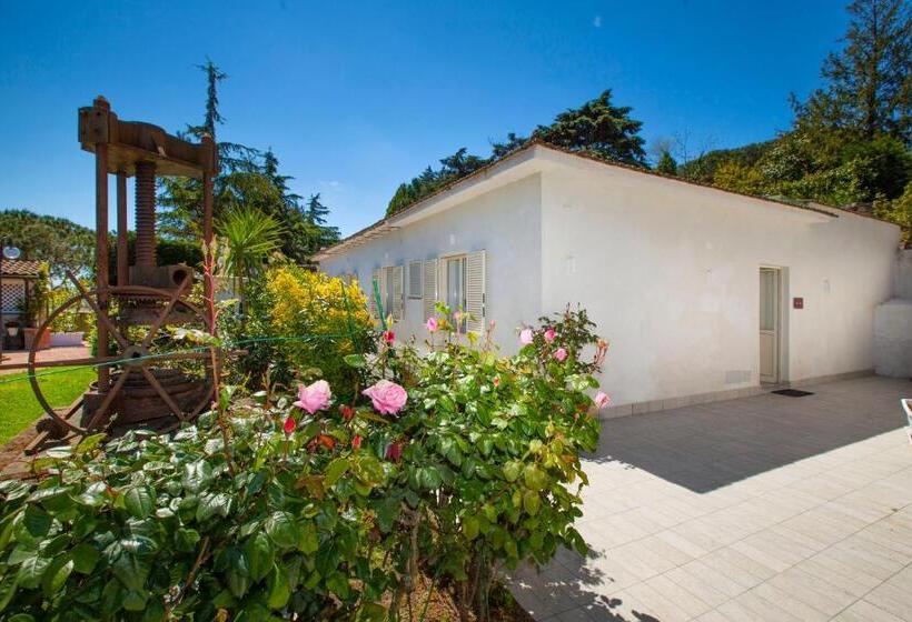 חדר סטנדרט, O Sole Mio