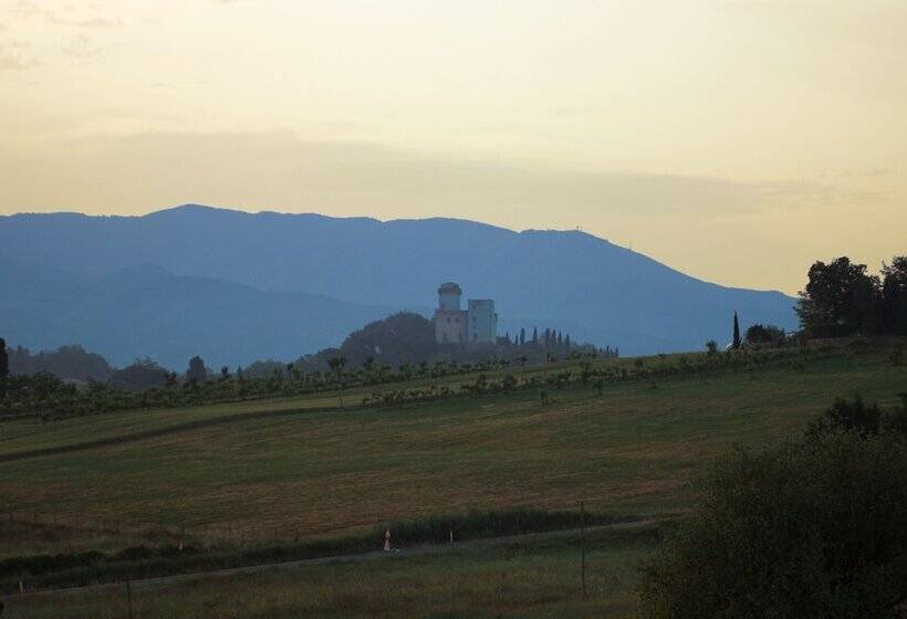 غرفة إقتصادية, Tenuta Il Burchio