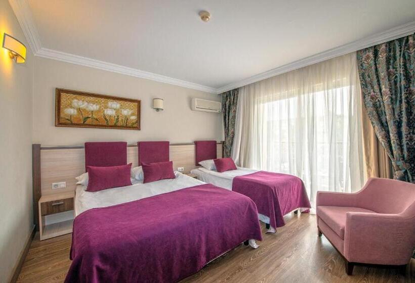 חדר סטנדרט נוף לגינה, Crystal Aura Beach Resort & Spa   Ultimate All Inclusive