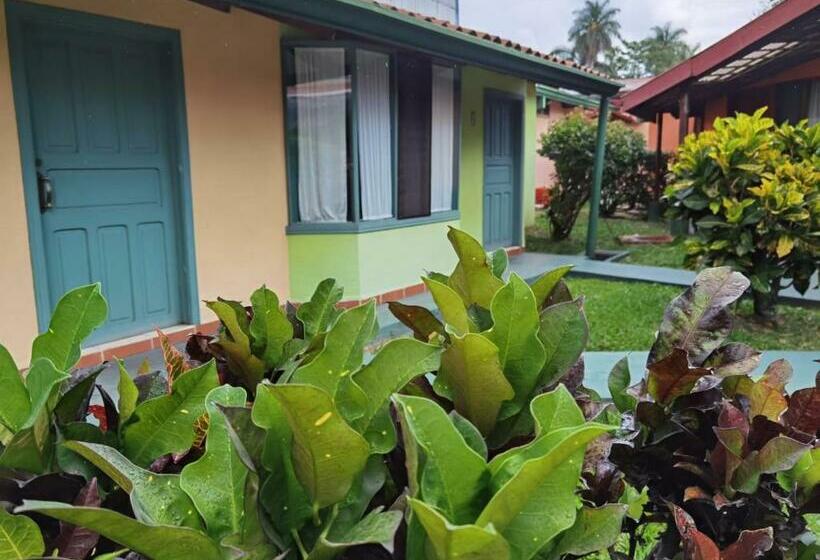 غرفة سوبيريور, Bristol Aeropuerto