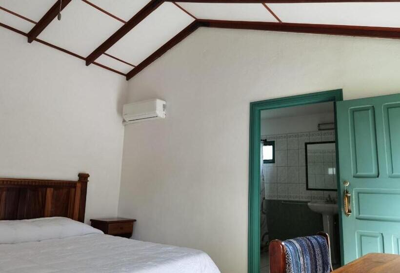 غرفة سوبيريور, Bristol Aeropuerto