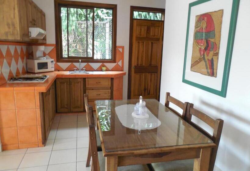 جناح ديلوكس, Bristol Aeropuerto