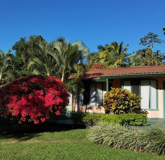 جناح جونيور, Bristol Aeropuerto