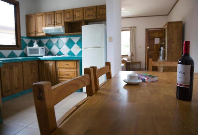 جناح جونيور, Bristol Aeropuerto