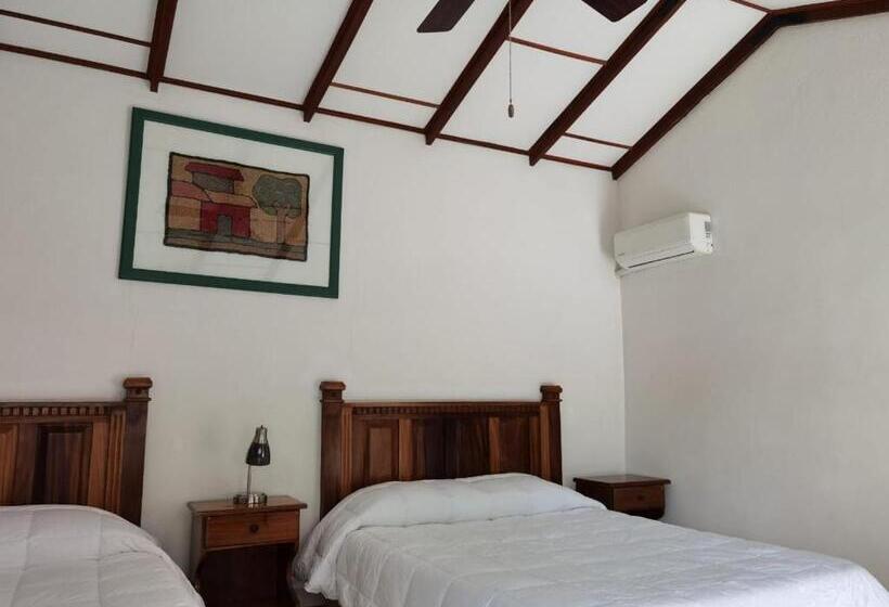 غرفة ديلوكس, Bristol Aeropuerto