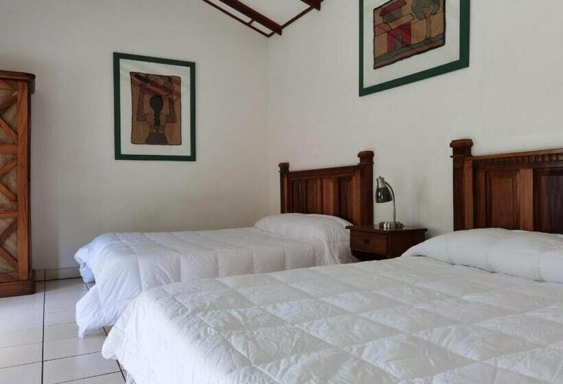 غرفة ديلوكس, Bristol Aeropuerto