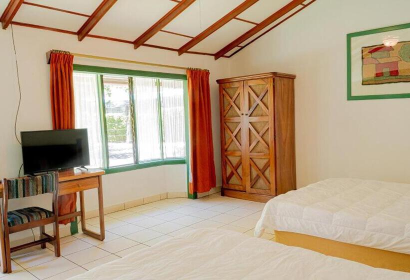 غرفة ديلوكس, Bristol Aeropuerto