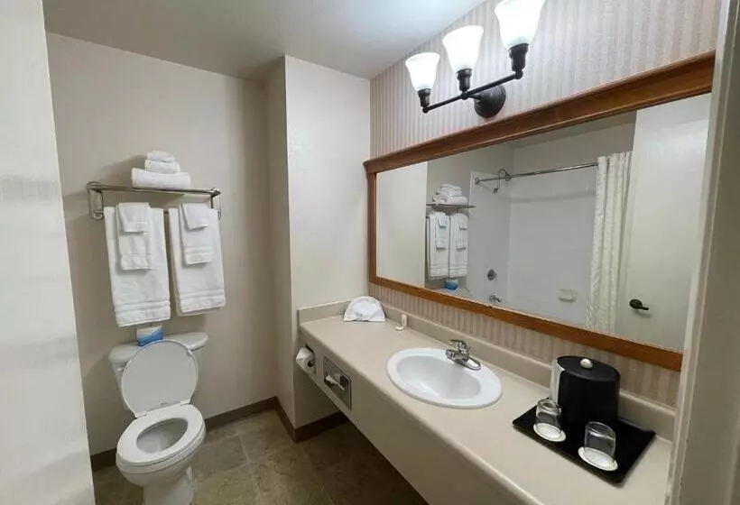 エクゼクティブスイート, Coast Inn At Lake Hood