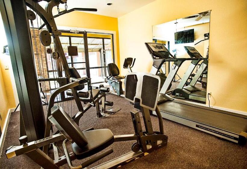 اتاق استاندارد با تخت بزرگ, Express Inn & Suites