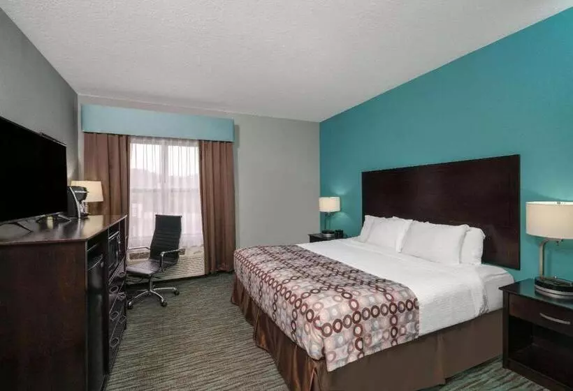 身障者適用キングサイズベッドルーム, La Quinta By Wyndham Knoxville East