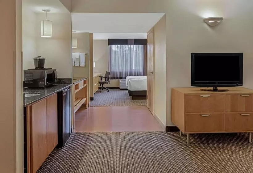 2ダブルベッドのスタンダードルーム, La Quinta By Wyndham Naples Downtown
