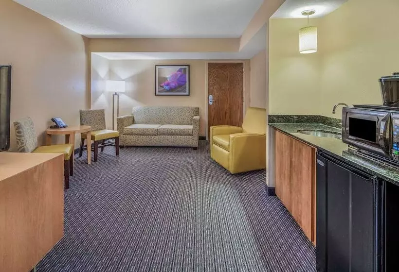デラックススイート, La Quinta By Wyndham Naples Downtown