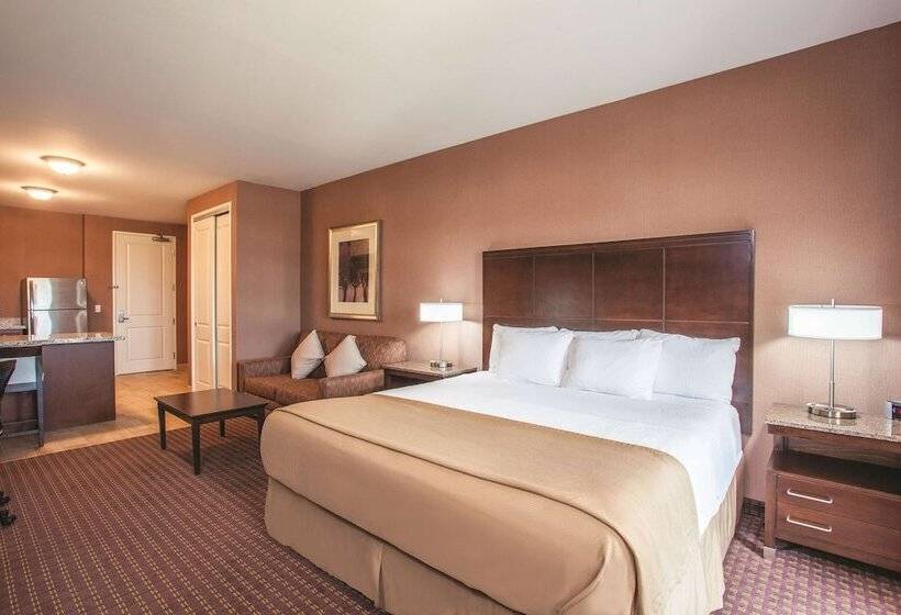 Escritório Estandar Cama Casal, La Quinta By Wyndham Paso Robles