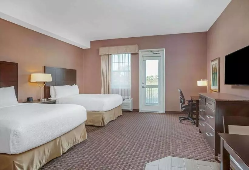 اتاق اجرایی, La Quinta By Wyndham Paso Robles