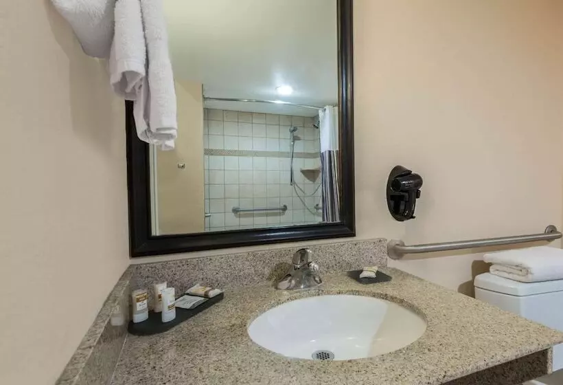身障者適用スイートルーム, La Quinta By Wyndham San Antonio Medical Ctr. Nw