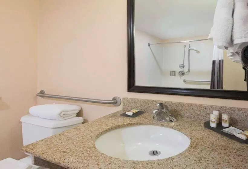 身障者適用スイートルーム, La Quinta By Wyndham San Antonio Medical Ctr. Nw