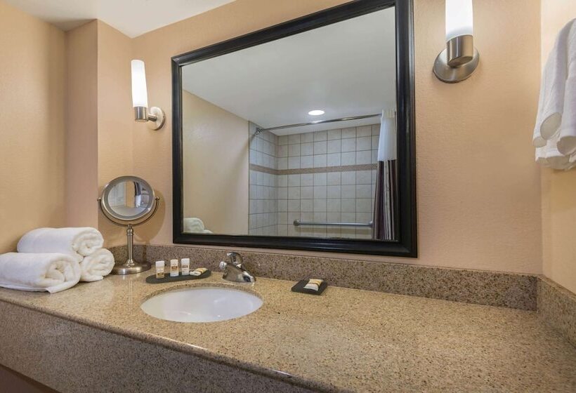 适合残疾人士使用的套间, La Quinta By Wyndham San Antonio Medical Ctr. Nw