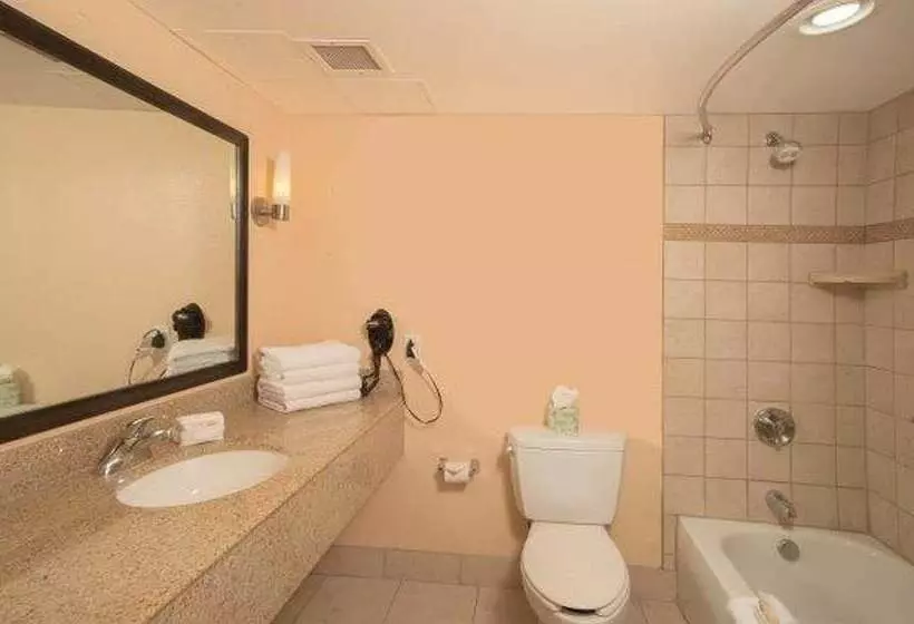 身障者適用スイートルーム, La Quinta By Wyndham San Antonio Medical Ctr. Nw
