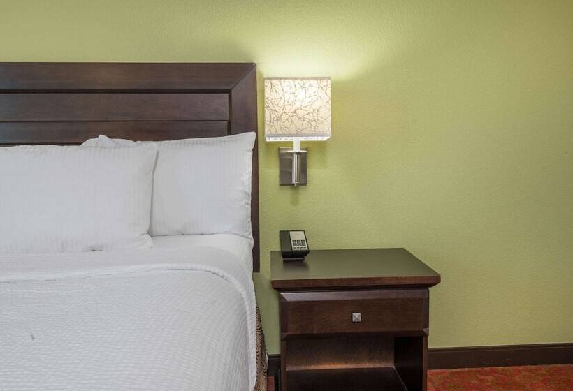 سوئیت برای معلولان, La Quinta By Wyndham San Antonio Medical Ctr. Nw