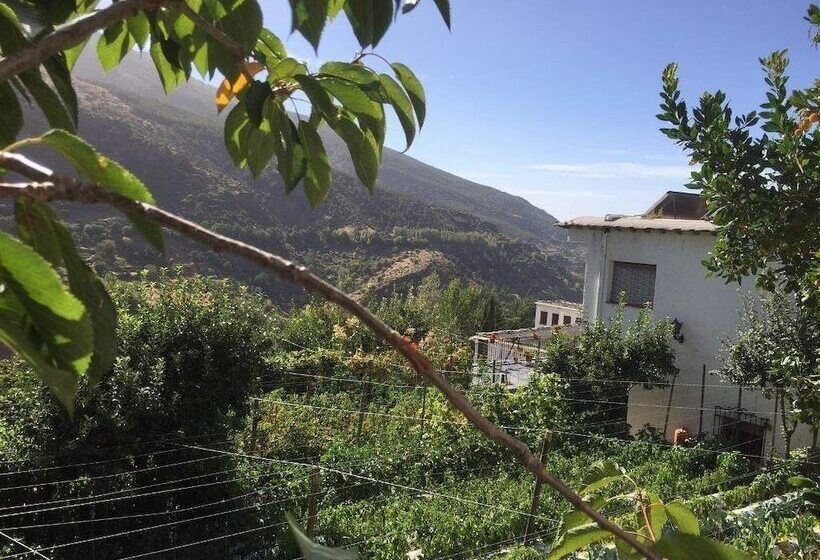 غرفة عائلية, La Fragua Ii