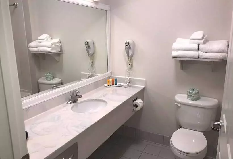 اتاق استاندارد, Surestay Plus Hotel By Best Western Billings