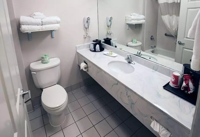 اتاق استاندارد, Surestay Plus Hotel By Best Western Billings