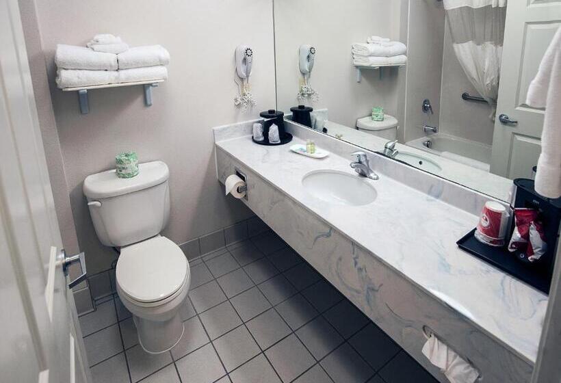 Стандартный Номер Кровать Кинг, Surestay Plus Hotel By Best Western Billings