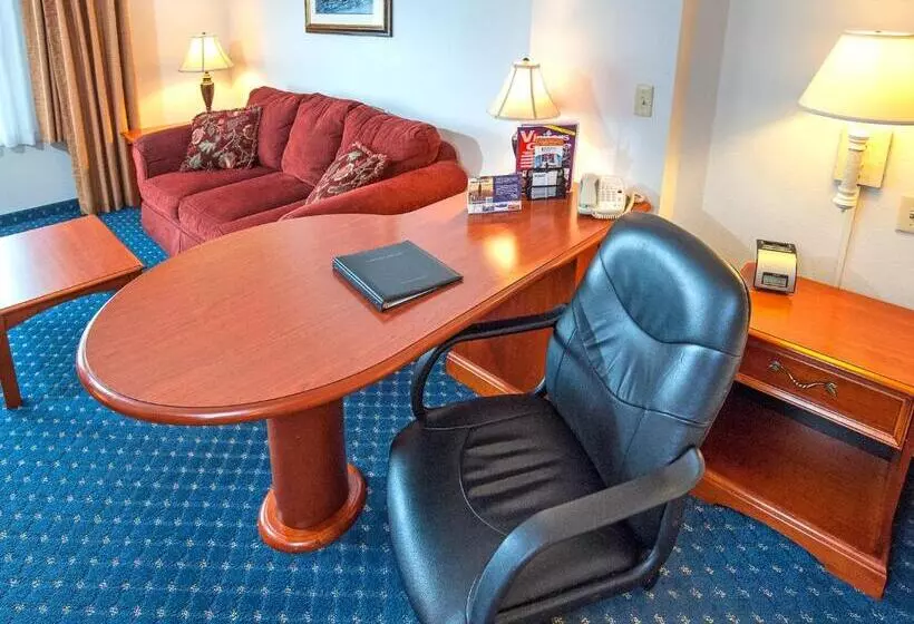 اتاق استاندارد با تخت بزرگ, Surestay Plus Hotel By Best Western Billings