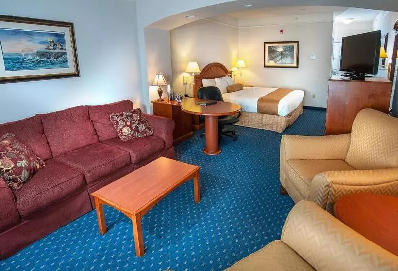 اتاق استاندارد با تخت بزرگ, Surestay Plus Hotel By Best Western Billings