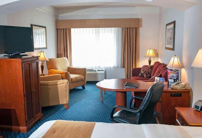 스탠다드 룸 킹사이즈 침대, Surestay Plus Hotel By Best Western Billings