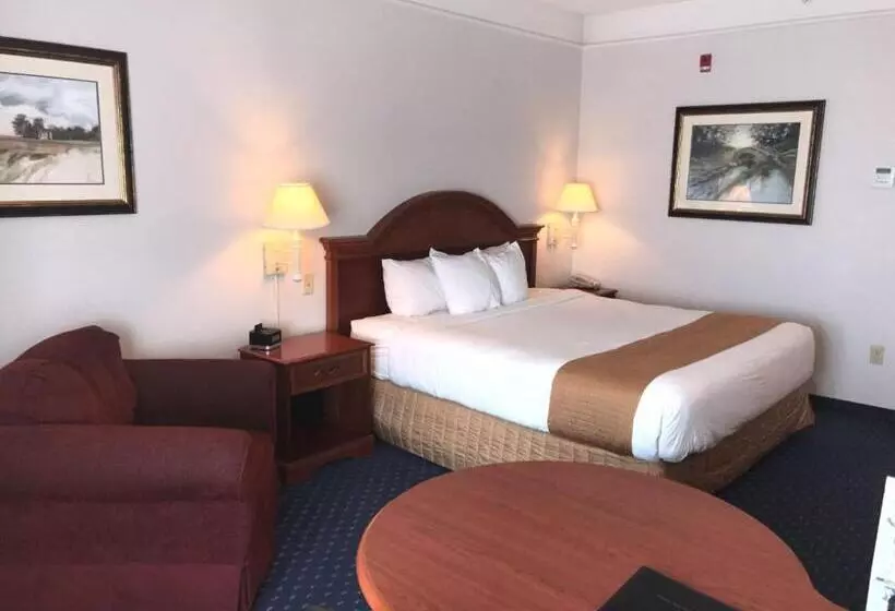 اتاق استاندارد با تخت بزرگ, Surestay Plus Hotel By Best Western Billings