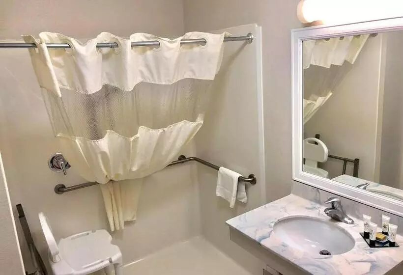 اتاق استاندارد با تخت دو نفره بزرگ برای معلولان, Surestay Plus Hotel By Best Western Billings