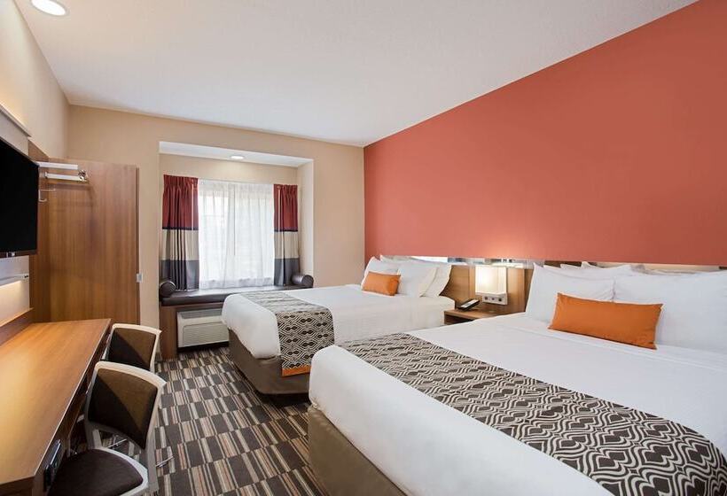 Quarto Estandar para Deficientes Físicos, Microtel Inn & Suites By Wyndham Walterboro