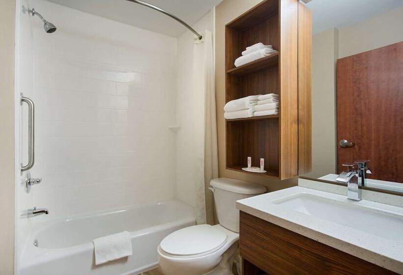 Студия Deluxe, Microtel Inn & Suites By Wyndham Walterboro