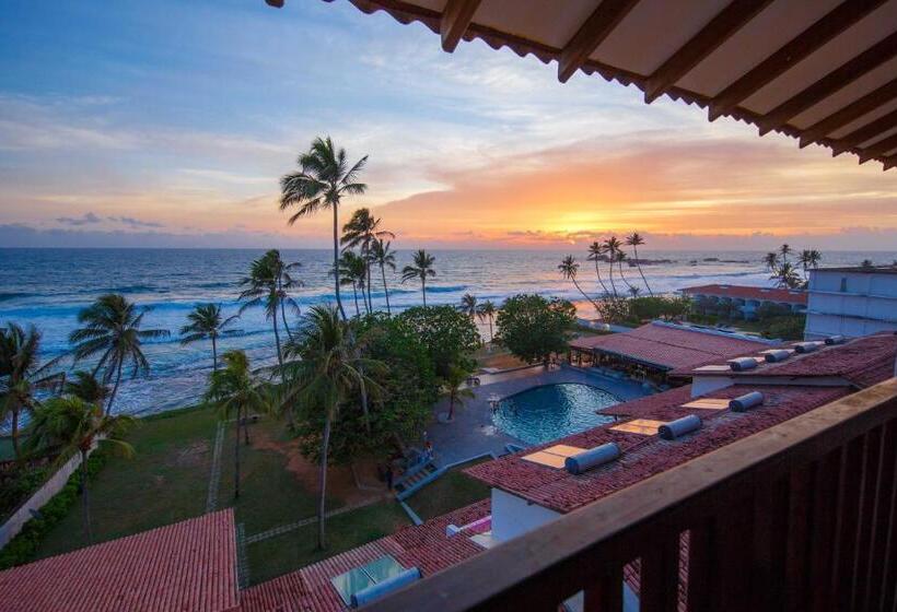 オーシャンビューデラックスルーム, Citrus Hikkaduwa