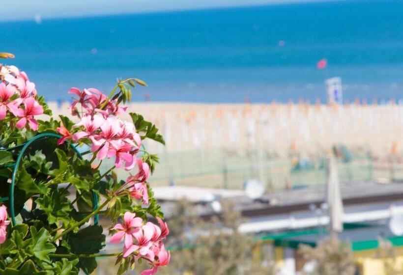 海の見えるコンフォートルーム, Gambrinus